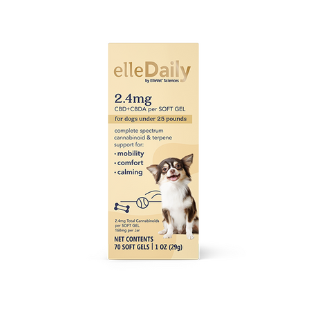 ElleDaily 2.4 mg for Small Dogs